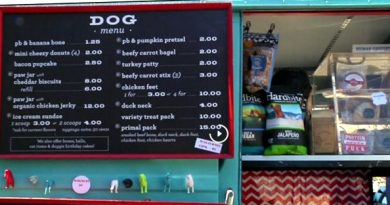 Speisekarte für Hunde