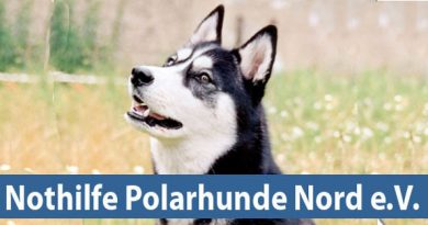 Nothilfe Polarhunde Nord
