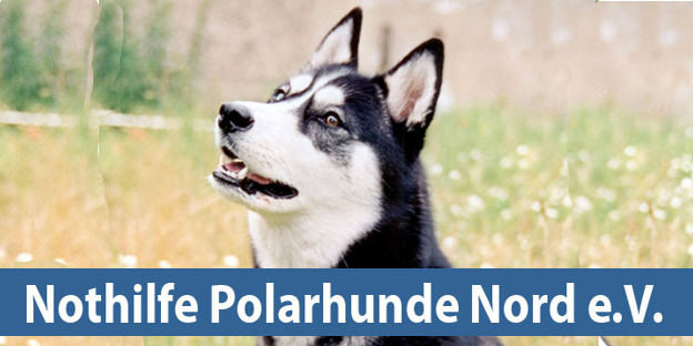 Nothilfe Polarhunde Nord