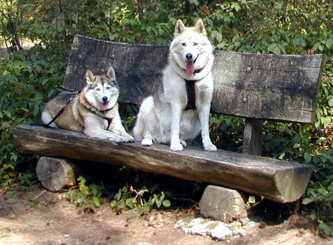 Ronny und Jaska auf einer Bank im Wald