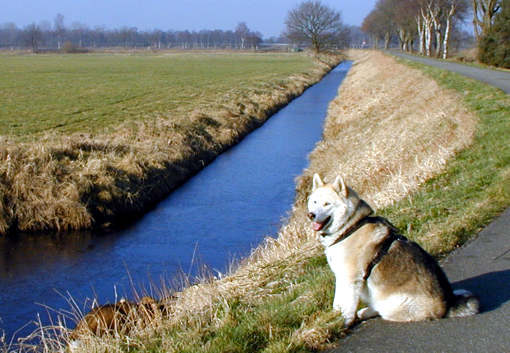 Ronny sitzt am Kanal