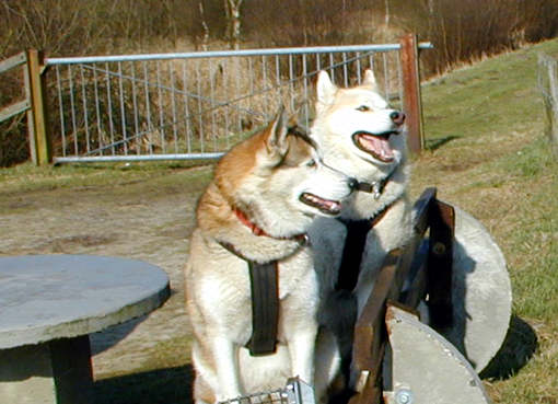 onny und Jaska sitzen draußen auf der Bank