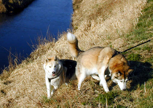 Ronny und Jaska am Kanal