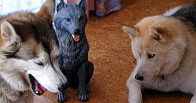 Jaska und Ronny mit Keramikhund