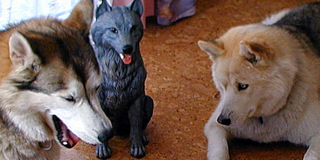 Jaska und Ronny mit Keramikhund