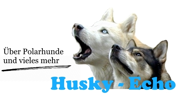 Husky – Echo